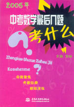 中考数学最后几题考什么