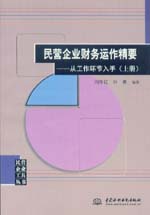 民营企业财务运作精要——从工作环节入