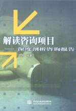 解读咨询项目——深度剖析咨询报告