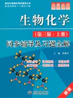 生物化学（第三版·上册）同步辅导及习