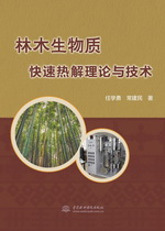 林木生物质快速热解理论与技术