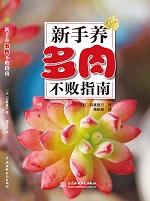 新手养多肉不败指南