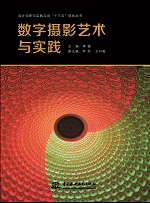 <strong>数字摄影艺术与实践（设计创新与实践应</strong>