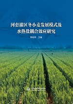 河套灌区冬小麦发展模式及水热盐耦合效