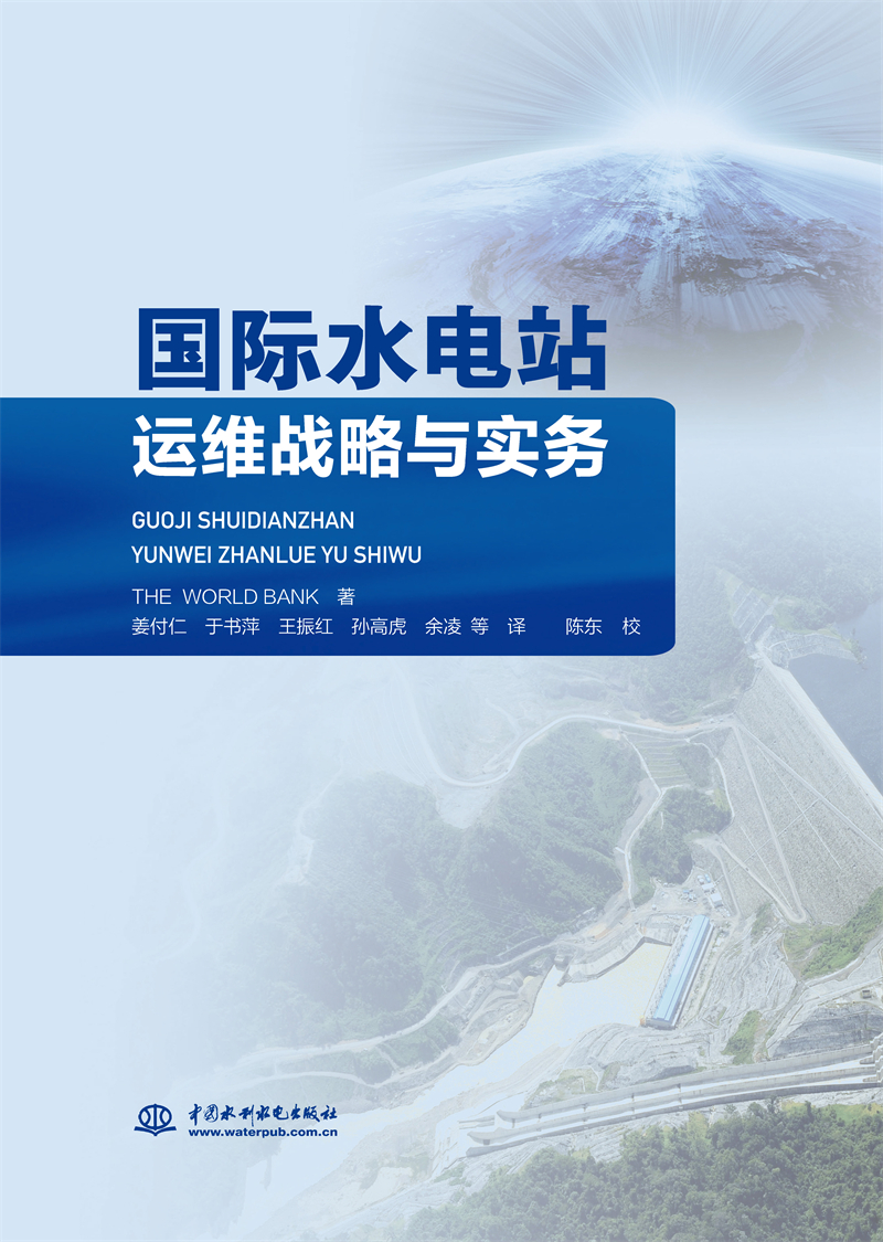 国际水电站运维战略与实务