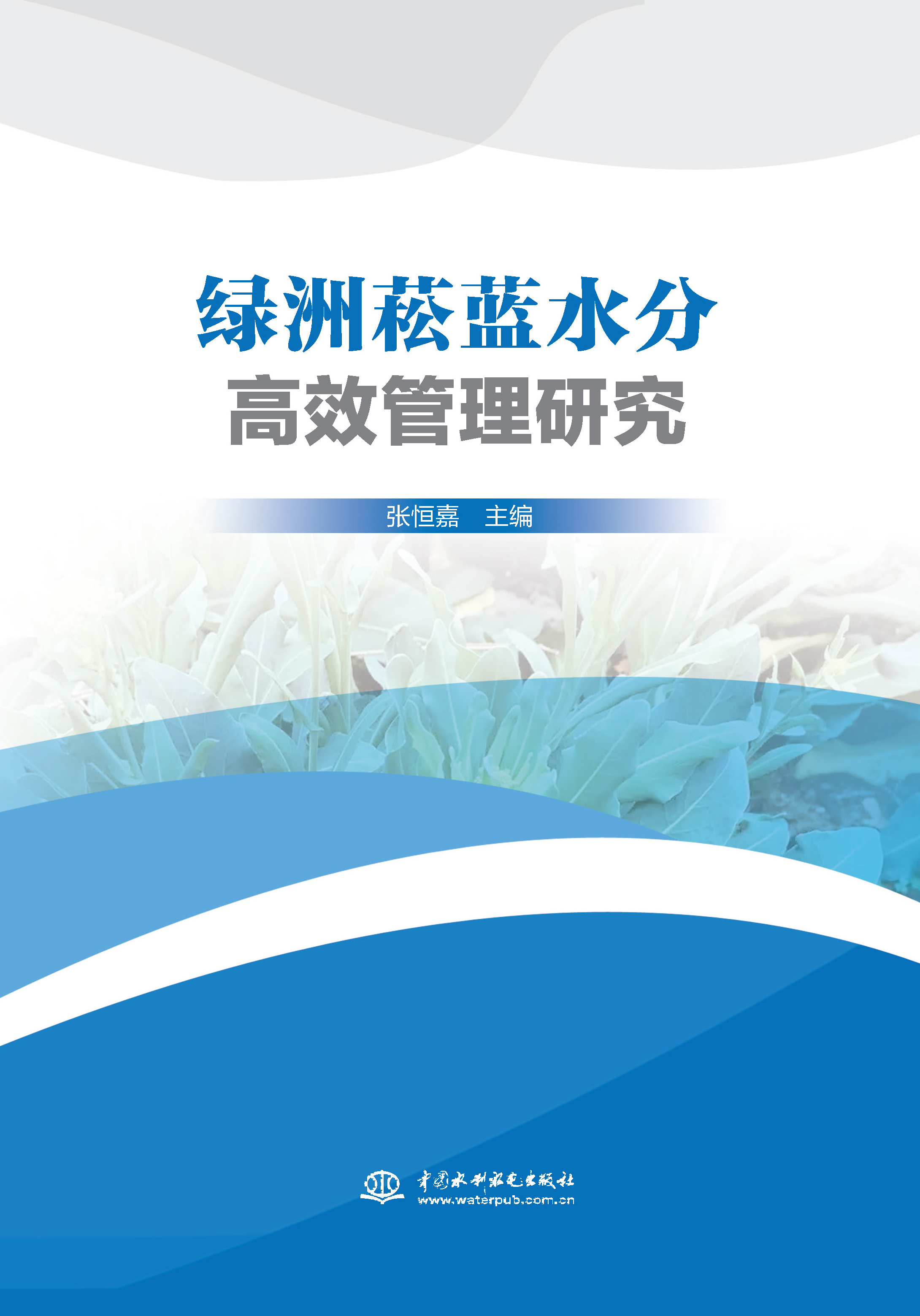 <strong>绿洲菘蓝水分高效管理研究</strong>